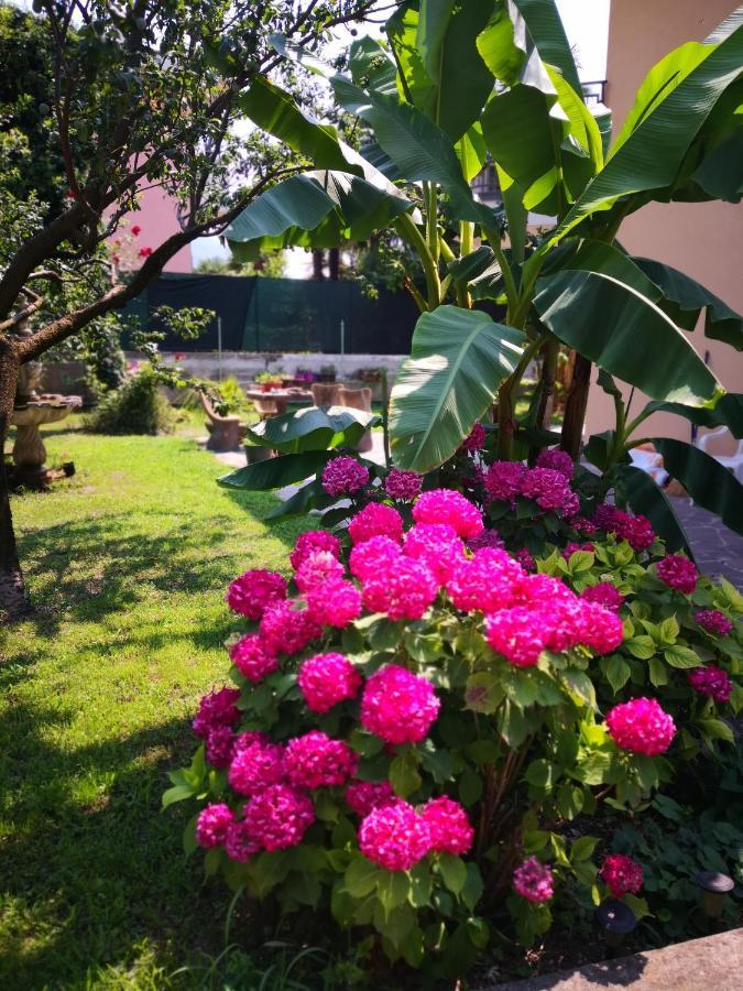 B&B Esmeralda Arco Luaran gambar